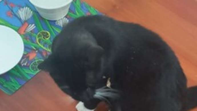 怒りのガブ飲み