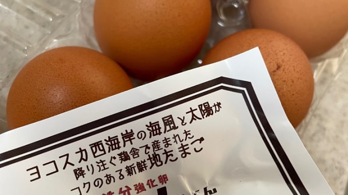 頼れる人