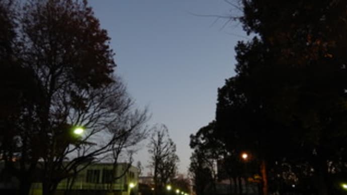 お正月 第2弾。