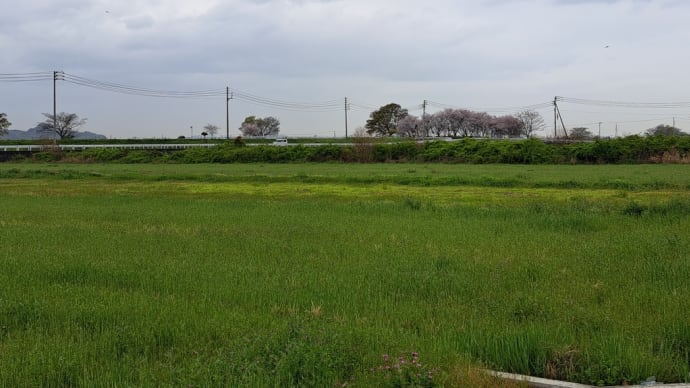 雨が降ってきた。