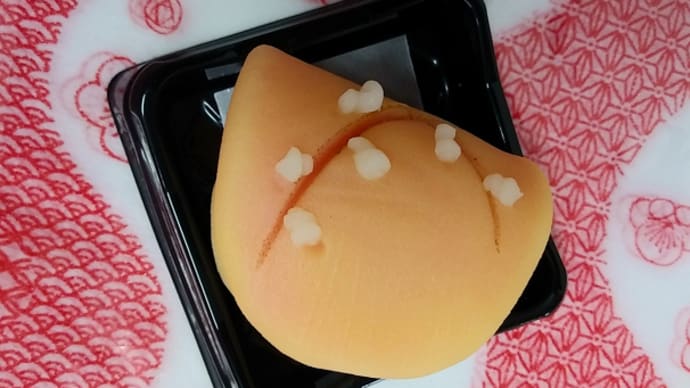 季節の上生菓子(令和5年2月)