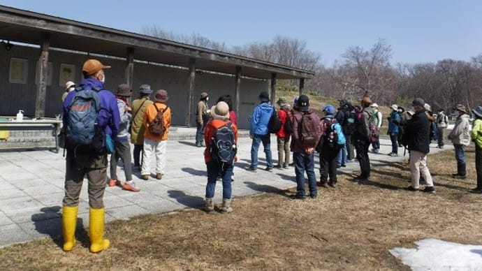 野幌森林公園観察会「春の花をみつけよう」