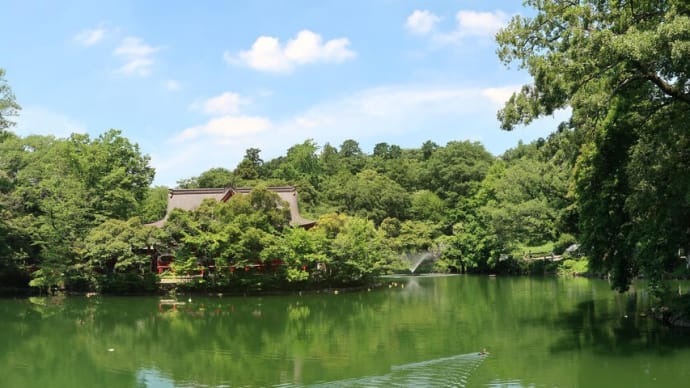 6月の吉祥寺・井の頭公園