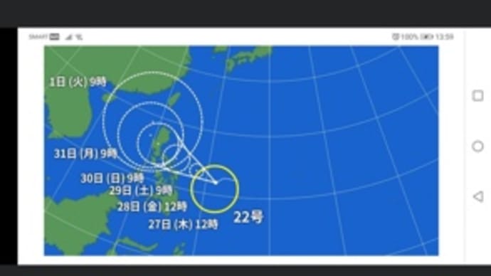 台風で。。。