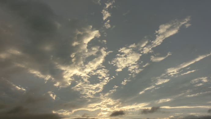 白い王子様・・・