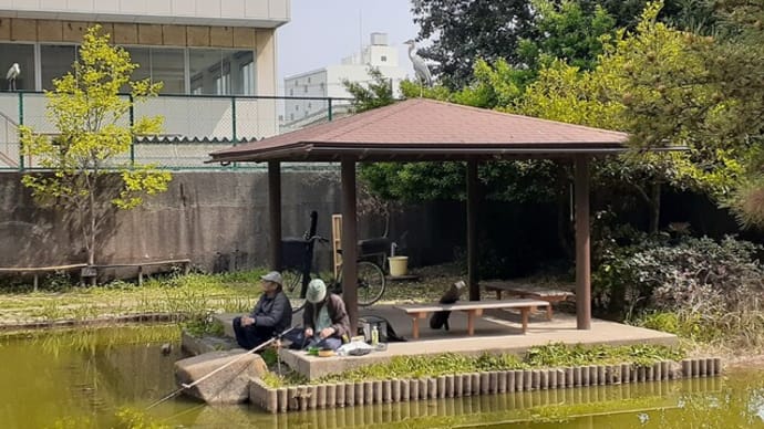 アオサギの城