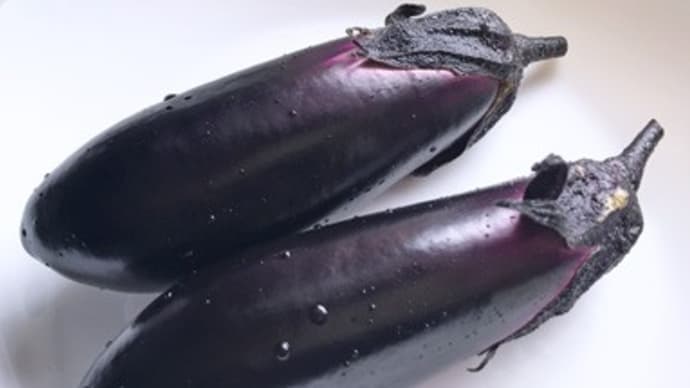 ぼけなす、おたんこなす、秋茄子は・・・