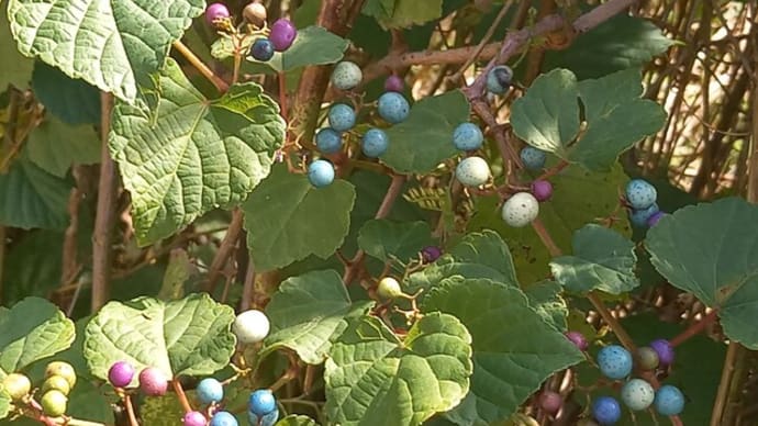 健診受けてますか?