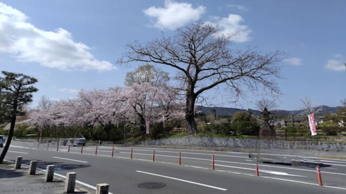 🌸 インスタに誘われて 🌸