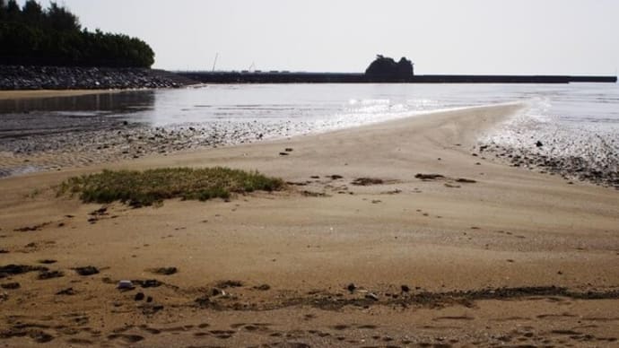 暖かくなってきた辺野古にて（20220316）