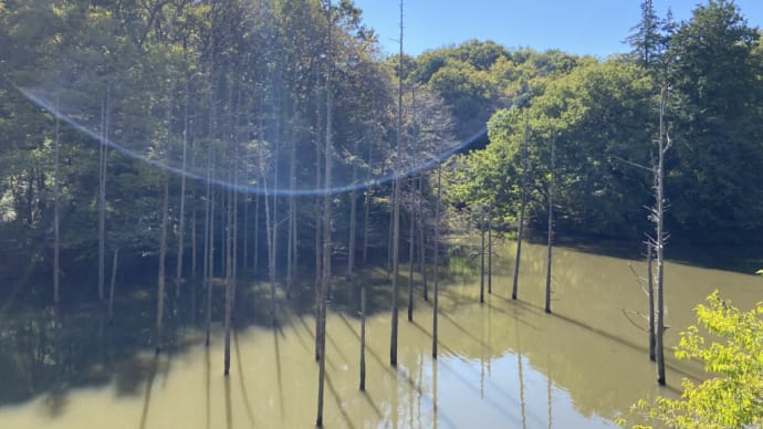 長池公園〜小山内裏公園