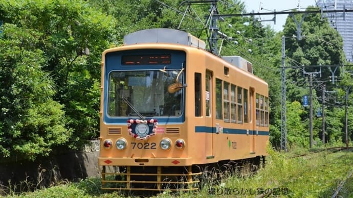 東京都電 早稲田30号踏切(2017.6.10) ありがとう7000形HM 7022