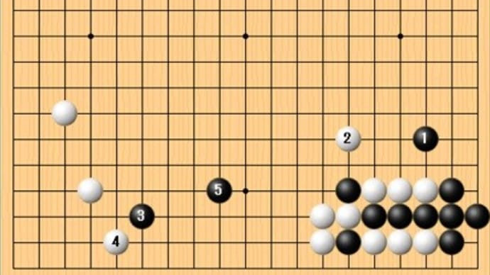 本因坊戦第3局1日目