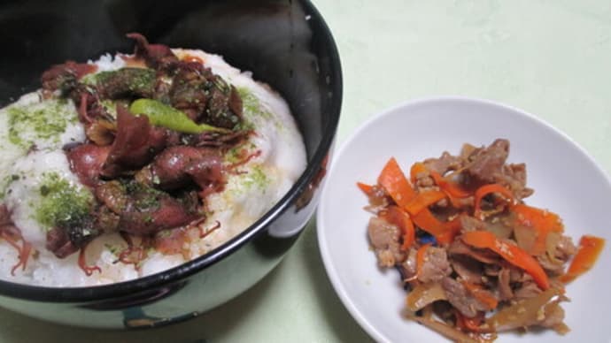 またホタルイカで丼を