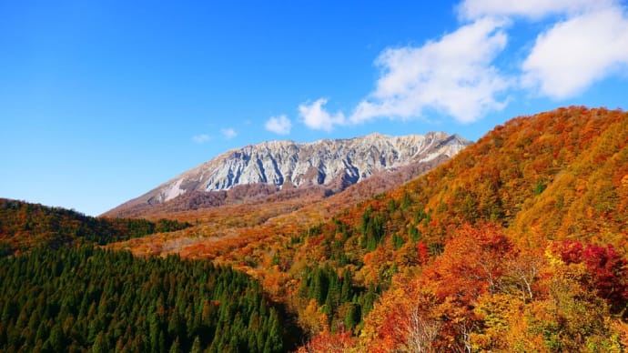 大山の紅葉 鍵掛峠編 11月5日撮影分