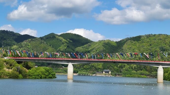 上昇ムードの広島カープの様な鯉のぼりを眺めながら湖畔を散歩