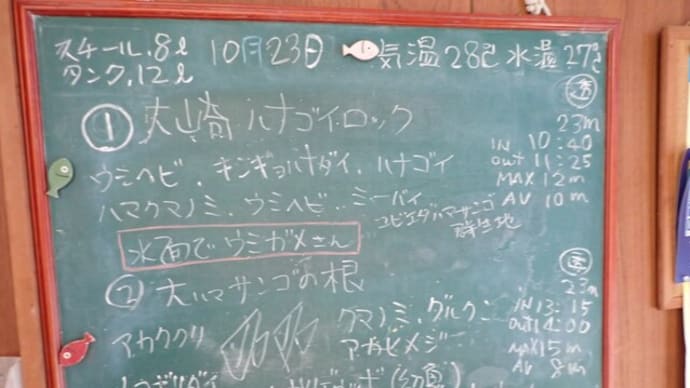 20231023ダイビングログ