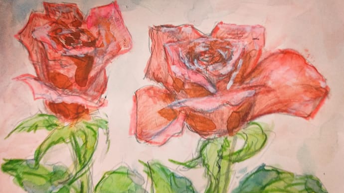 赤いミニ薔薇 ハガキ