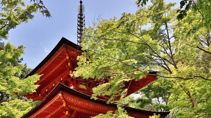 新緑の「当尾の里」を訪れる!・・・岩船寺 浄瑠璃寺