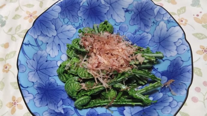 コゴミを食べる