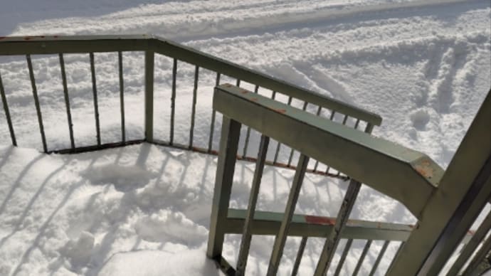うわあ、真冬の雪だあ!札幌