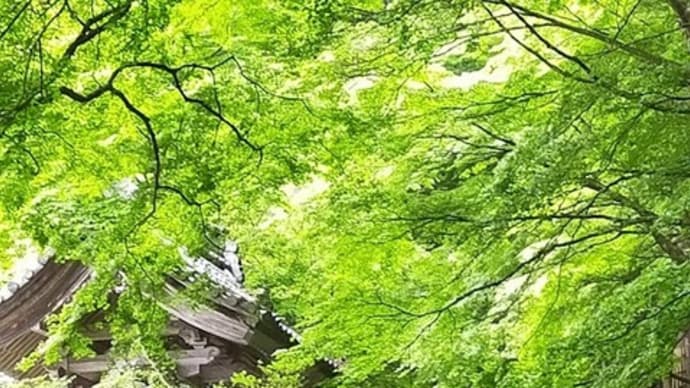 湖東三山釈迦山百済寺の絶景