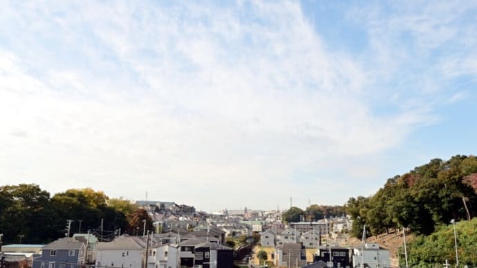 11月07日 夕陽の中歩きに行った。