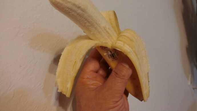 タイワンでは、こんなふうにバナナの皮をむくと「わははっ！サ～ル！（🐵）」と爆笑される。。