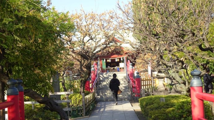 毎年掲載してる、「亀戸天神菊まつり」!10月22~11月22日(最終日)に行って来ました。