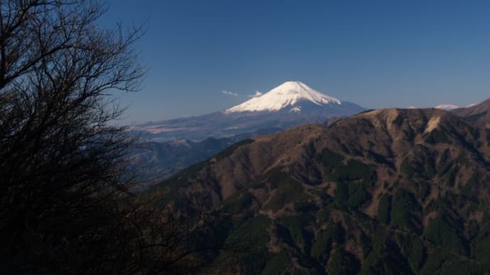 謹賀新年、大山からの富士山