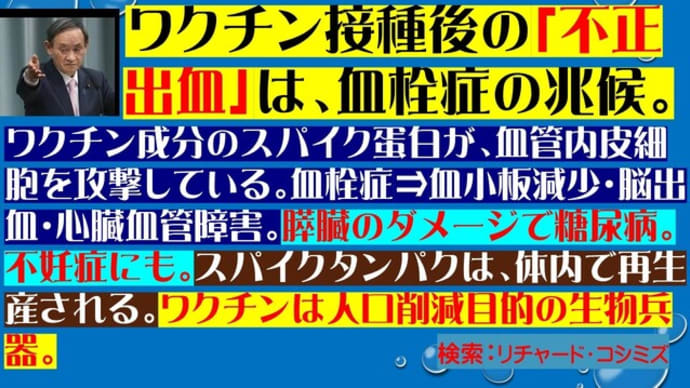 フライヤー:ワクチン接種後「不正出血」?血栓症・糖尿病・不妊症が始まる。