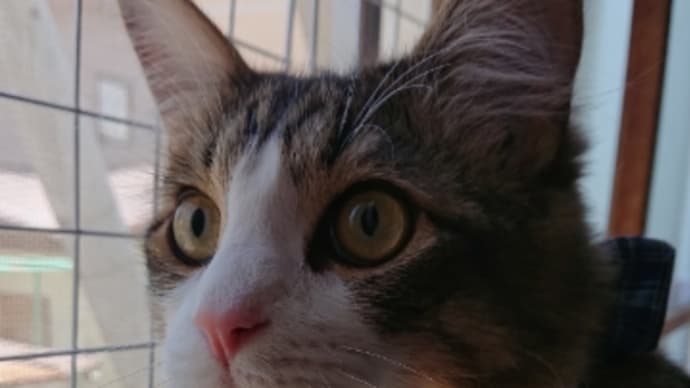 退院しました♪