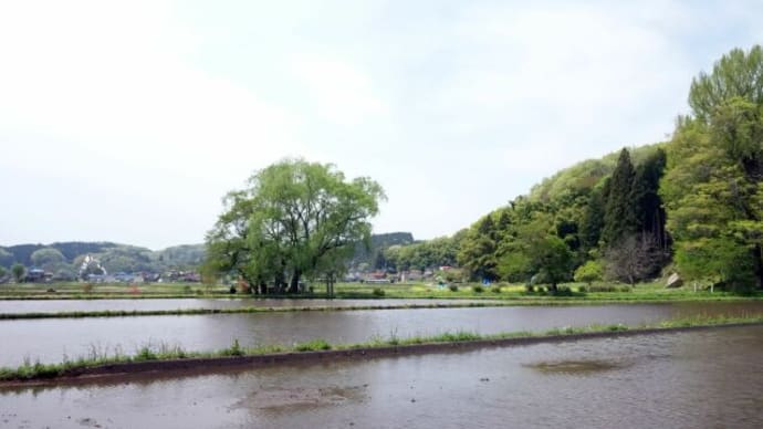 田一枚植えて立ち去る柳かな・・・(遊行柳:栃木県)