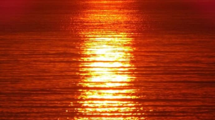 浦安市の両親へ年末のあいさつ