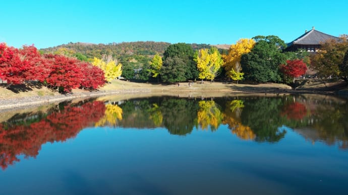 錦秋の奈良公園