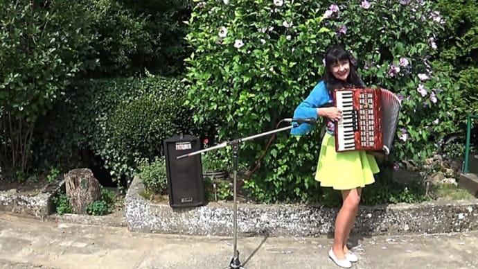 Wiesia Dudkowiak - Beautiful Accordion Melodies