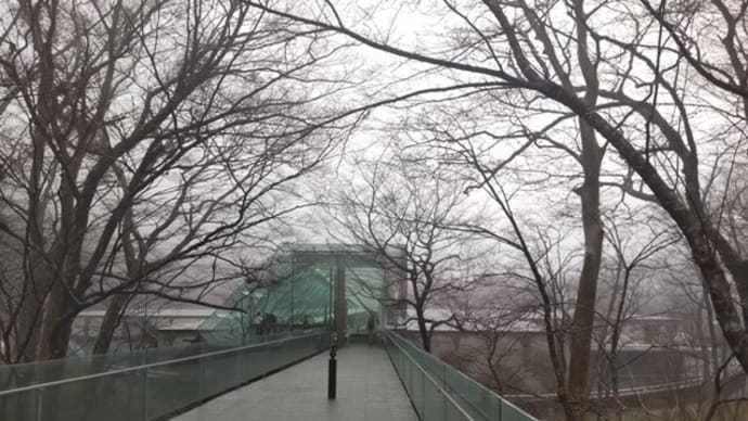 雨のポーラ美術館・江之浦測候所