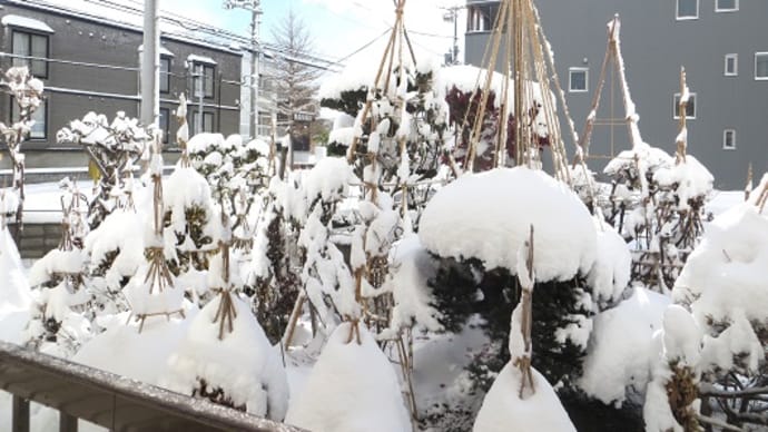 メモ帳1413ページ 積雪8cmで大混乱