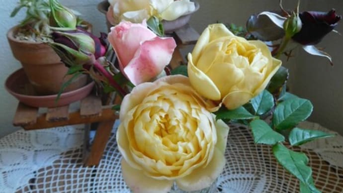 バラはカットして花瓶に