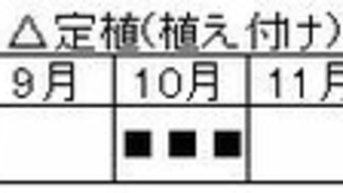 <伝統野菜> 鹿児島 はやとうり -追記うり-