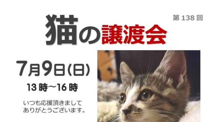わっしょい