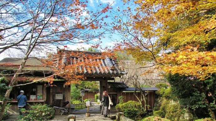 大原の里 宝泉院 額縁庭園 2022晩秋