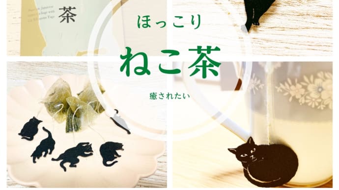ねこ茶🐈⬛ 〜ほっこりTime〜
