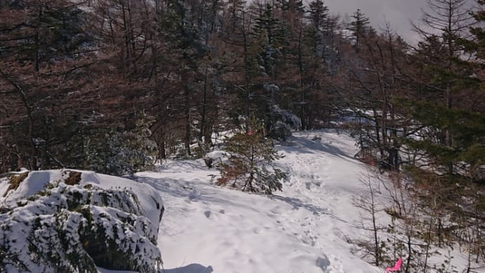 東篭ノ登山からの戻り、除雪されてない林道で遭難しかかった話