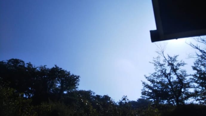 来週は休園致します