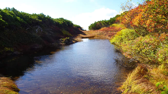 赤岳③紅葉山歩
