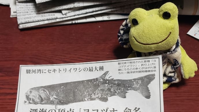 ハッシュタグ ヨコヅナイワシ Goo Blog Gooブログ ハッシュタグ ヨコヅナイワシ Goo Blog Gooブログ