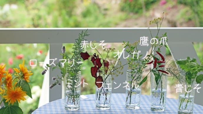 ハーブを飾って