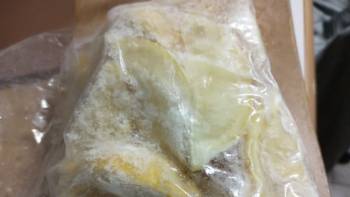レモン凍らせて見ました