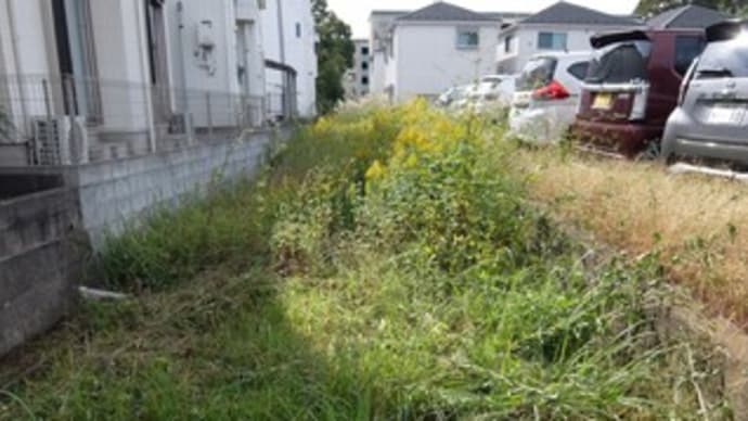 2024神奈川河川ポタリング『比留川』②住宅街から快適なサイクリングロードへ